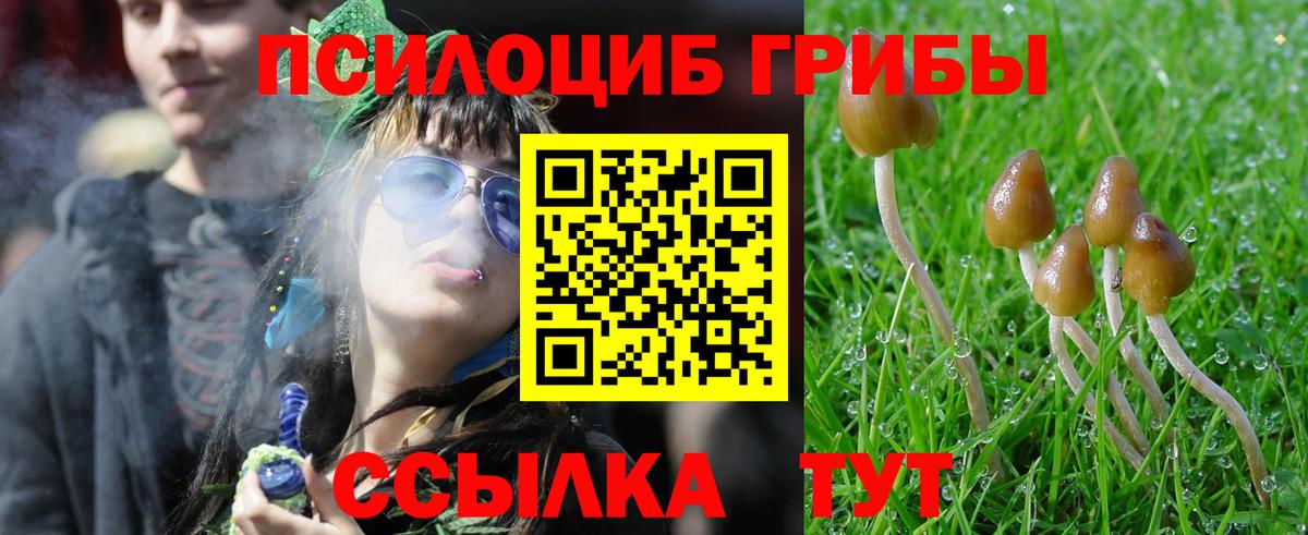 Каменск-Шахтинский  Галлюциногенные грибы мицелий  Вход с VPN 